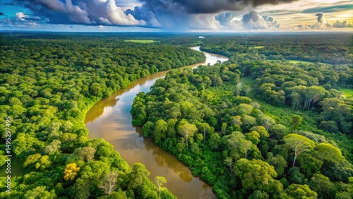 Drone view of green jungle with tree and river landscape