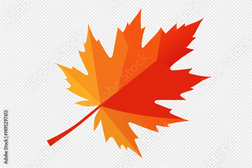 maple leaf vector illustration