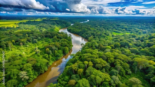 green beautiful amazonian jungle landscape