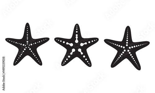 Common starfish or sea star fish marine life flat vector icon for apps and websites