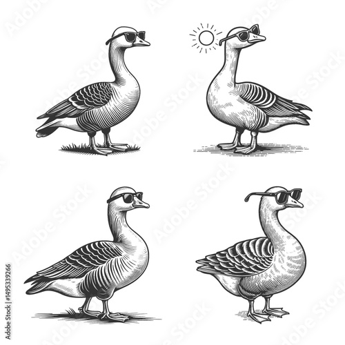 goose wearing sunglasses Set collection bundle sketch engraving generative ai vector illustration. Scratch board imitation. Black and white image.