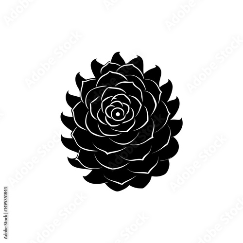 pinecone spiral close up on white background  .svg
