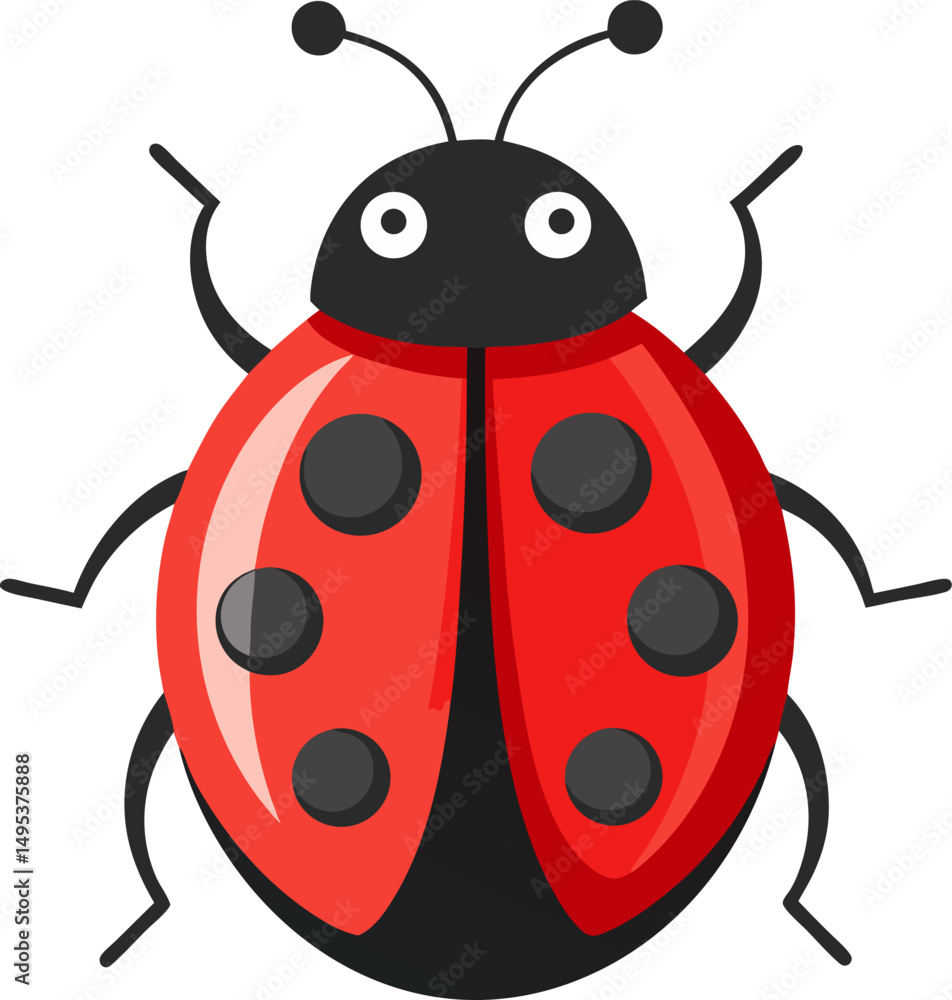 Fototapeta premium vector illustration of a ladybug