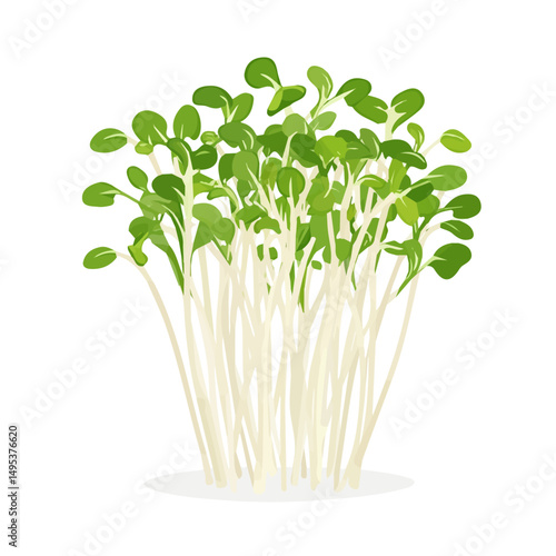 My Simple flat 2D icon, sliced alfalfa sprouts isolated on a white background, vector, vector, flat design, animation design, simple flat 2D icon, minimalist design, vector design, eps
