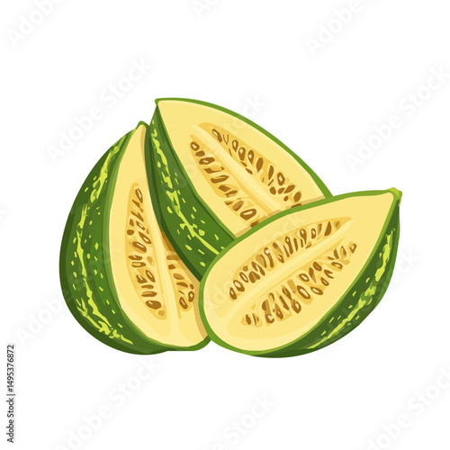 My Simple flat 2D icon, sliced bitter melon isolated on a white background, vector, vector, flat design, animation design, simple flat 2D icon, minimalist design, vector design, eps