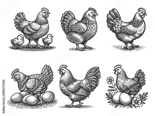 Hen and Chick Set collection bundle sketch engraving generative ai vector illustration. Scratch board imitation. Black and white image.