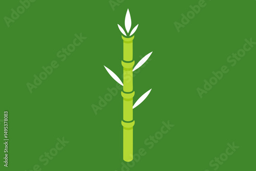 green bamboo on white background