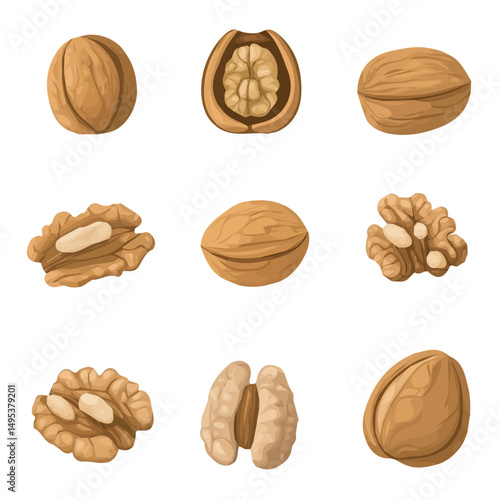My very Simple flat 2D icon, walnuts set isolated on a white background, vector, flat design, animation design, simple flat 2D icon, minimalist design, vector design, eps