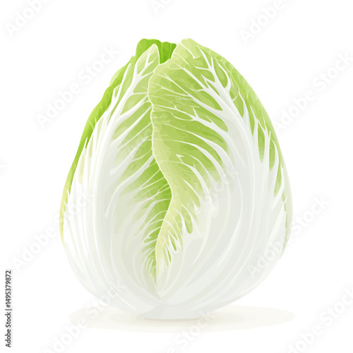 My very Simple flat 2D icon, whole napa cabbage isolated on a white background, vector, flat design, animation design, simple flat 2D icon, minimalist design, vector design, eps