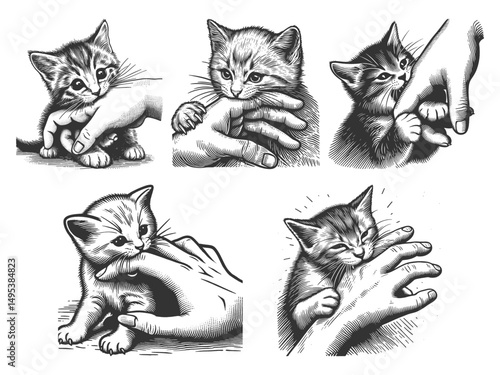 kittens biting hands in a playful Set collection bundle sketch engraving generative ai vector illustration. Scratch board imitation. Black and white image.