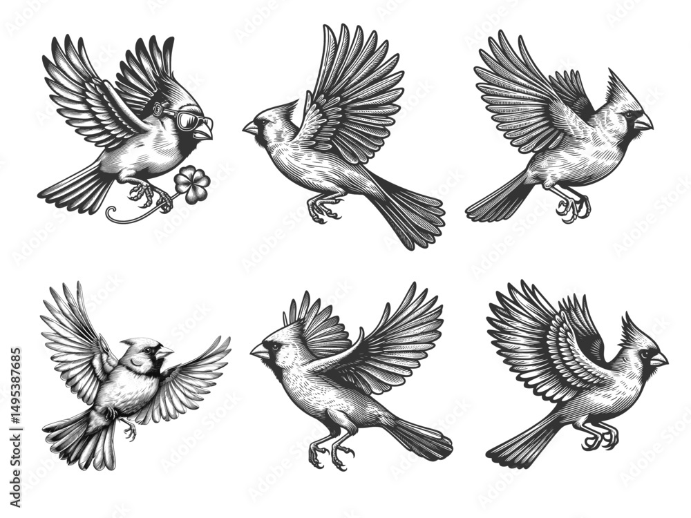 Obraz premium cardinals in flight set collection bundle sketch engraving generative ai vector illustration. Scratch board imitation. Black and white image.