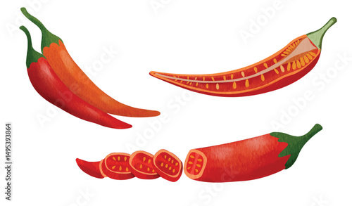 red chili pepper spice, culinary and food illustration