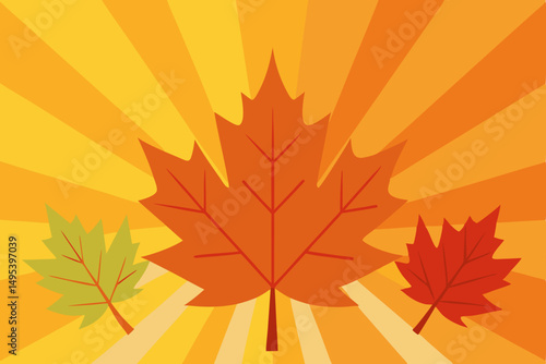 warm sunlight filtering through autumn leaves 
