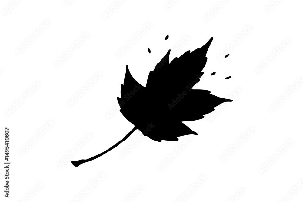 Fototapeta premium silhouette of maple leaf