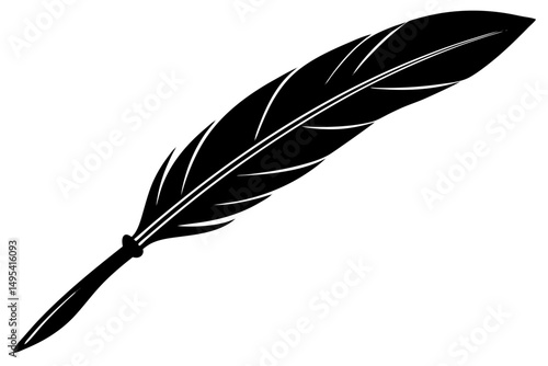 feather on white background