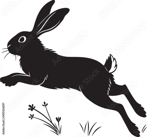 Bunny run and jumping on white background