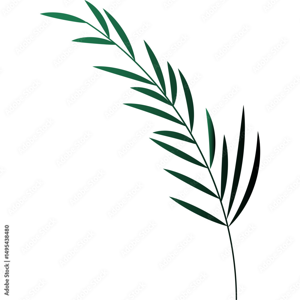Fototapeta premium Palm Leaf Decoration
