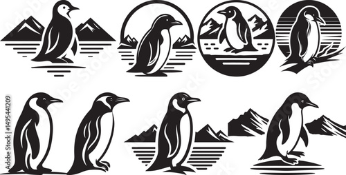 Antarctic penguin illustrations black and white wildlife set