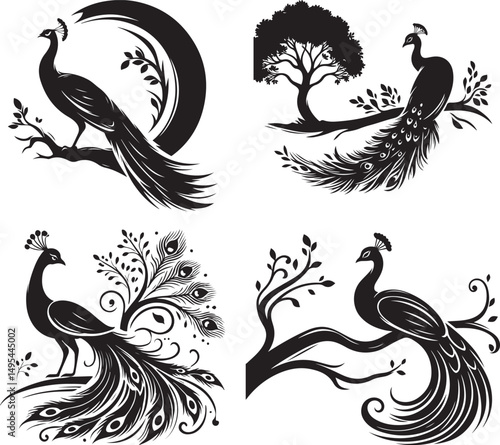 Elegant black and white peacock designs set bird art