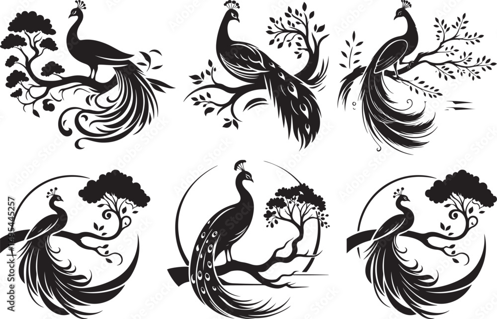 Obraz premium Elegant black peacock silhouettes on trees, birds, nature, design elements