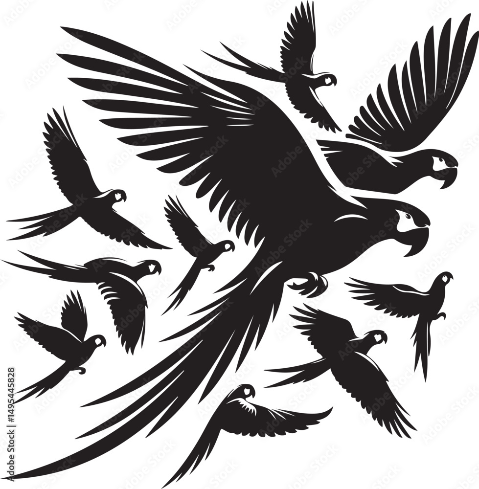 Obraz premium Majestic macaws in flight black and white silhouette design