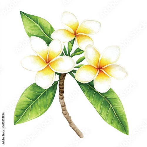 A Frangipani simple cartoon