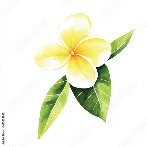 A Frangipani simple cartoon