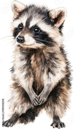 close up of a raccoon on white background