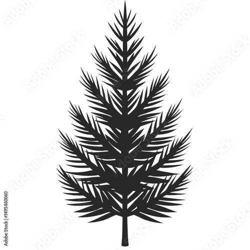 Pine sapling silhouette with sharp needles