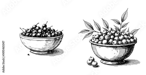 Black ink sketch of ceramic bowl filled with sea buckthorn berries  