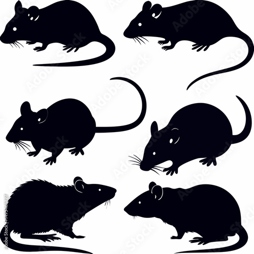 Black vector illustration set of animal silhouettes, a collection with cat, dog, rat, mouse, pig and other mammal icons in a simple cartoon drawing design