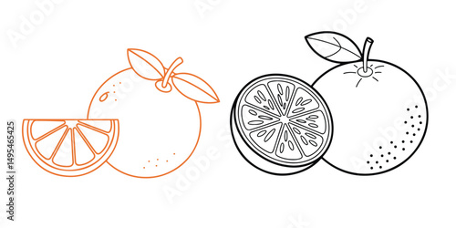 Orange Fruit Line Art Illustrations Set, Coloring Pages, Orange Fruit Icons Set Whole Oranges Slices and Black Silhouettes, Black and White Plum Fruit Icons Set Graphic