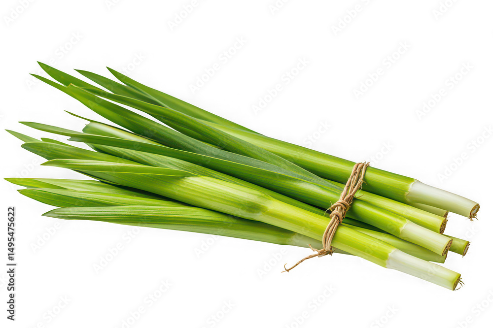 Fototapeta premium Lemongrass Vegetable Isolated on White Background