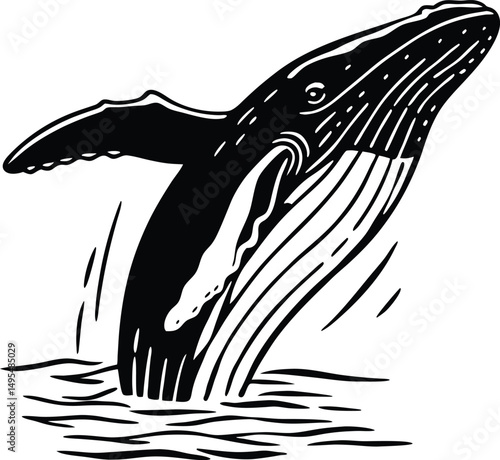 Humpback Whale breaching: A majestic humpback whale breaches the ocean surface, its massive body arcing elegantly out of the water.  