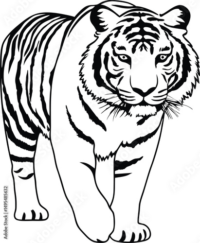 Tiger Majesty: A majestic tiger, its powerful form rendered in striking black and white, strides forward with a commanding presence, symbolizing strength and untamed wilderness.