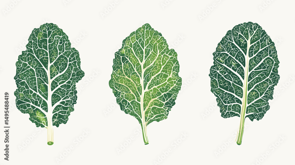 Three Distinct Green Vegetable Leaves on a Soft Neutral Background Illustrating Organic Freshness Three Distinct Green Vegetable Leaves on a Soft Neutral Background Illustrating Organic Freshness