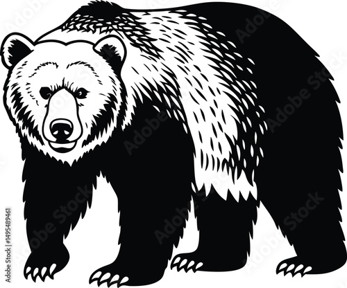 Grizzly Bear Illustration: Majestic grizzly bear illustration, powerful and imposing stance. Monochrome, detailed illustration, perfect for nature-themed designs.