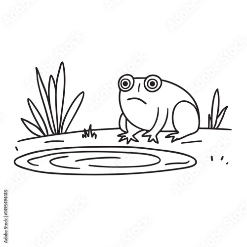 A toad beside a puddle on a forest path