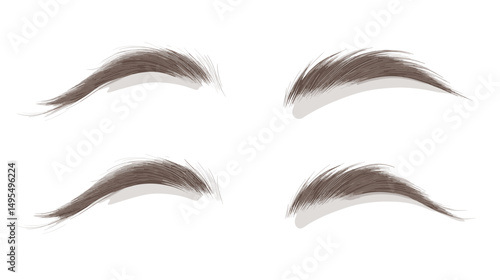 Stylized Eyebrow Designs Featuring Various Shapes and Textures for Enhanced Beauty and Artistry