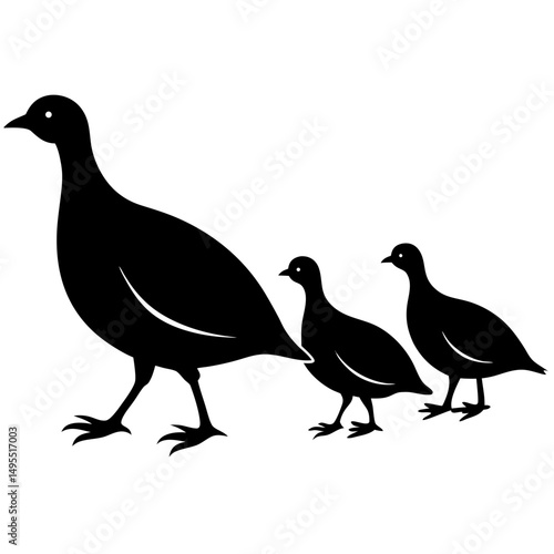 pigeon silhouette vector