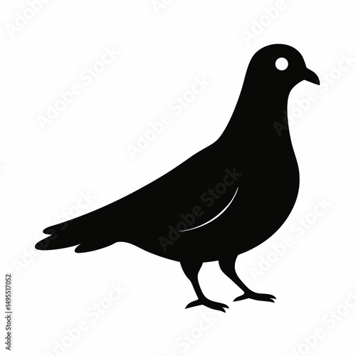 silhouette of a pigeon