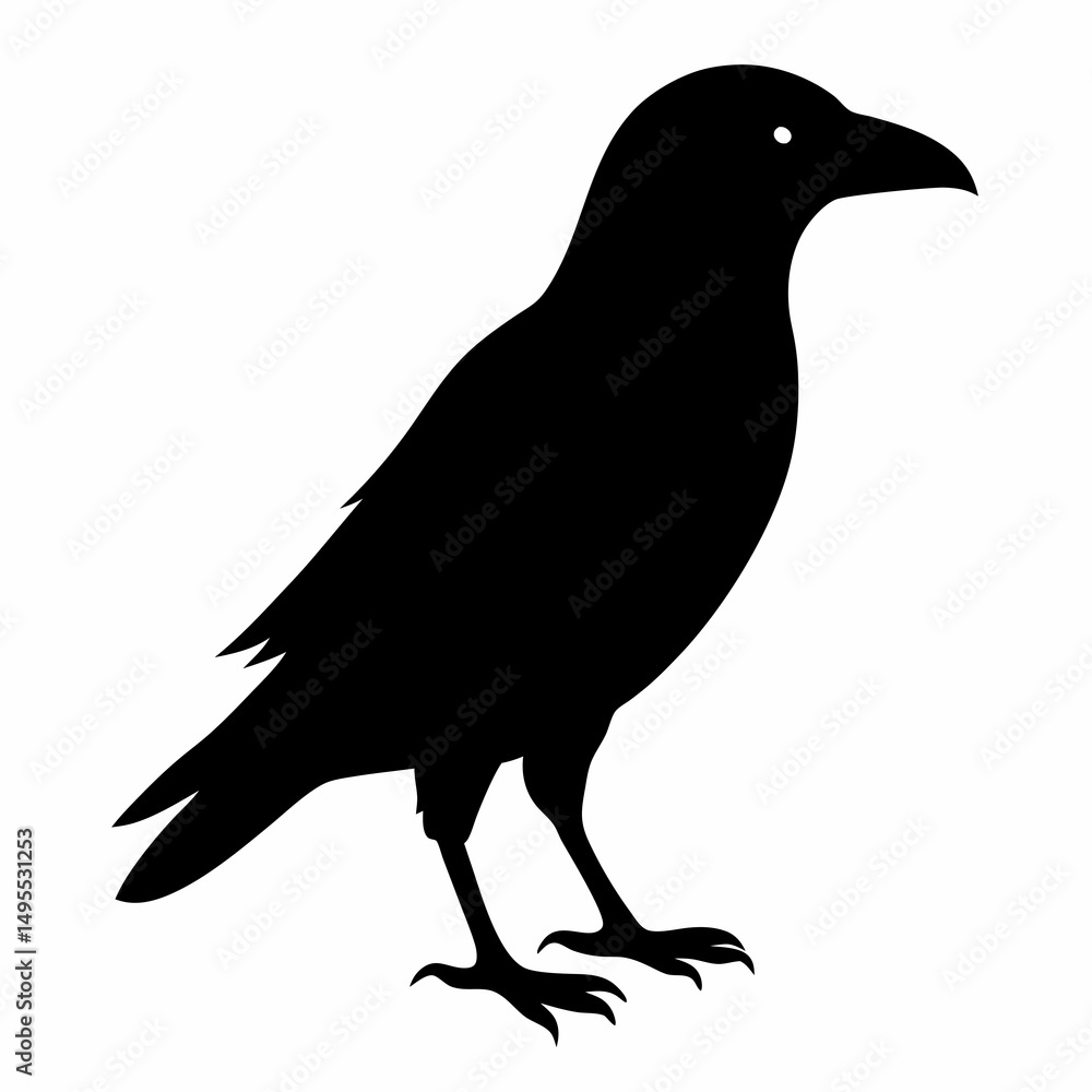 Fototapeta premium silhouette of a bird