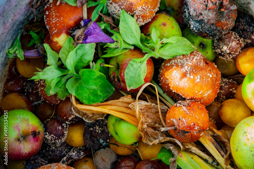 Rotten spoiled food leftover. Organic waste background. Leftover meals. Uneaten groceries. Kitchen garbage composting. Overbuying food. Composting process. Zero waste kitchen. Food waste pollution