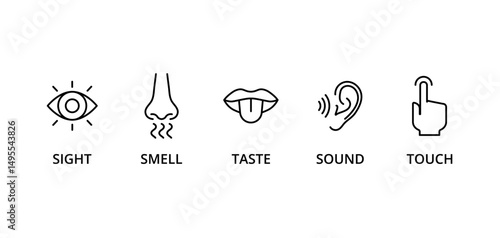 5 senses icon set: taste, sight, touch, smell, and sound