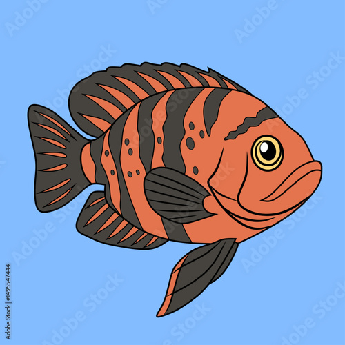 Oscar Fish isolated on blue background, vector illustration