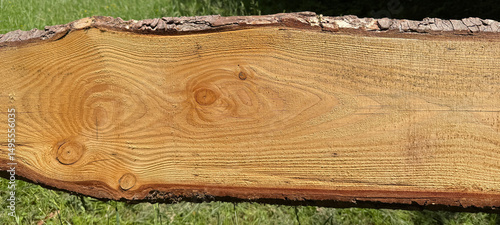 Wood timber structure background banner panorama wide - Spruce / fir wooden b...