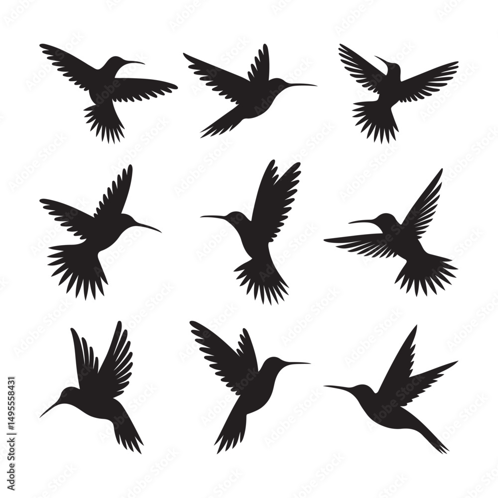 Fototapeta premium Hummingbird Silhouette Vector Set with Flying Poses 