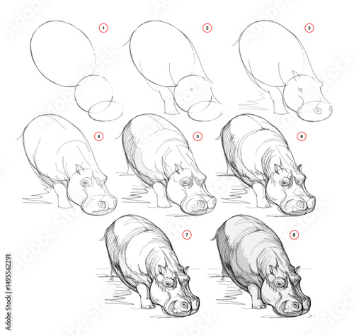 Page shows how to learn to draw from life sketch of a cute hippopotamus going to drink. Pencil drawing lessons. Educational page for artists. Textbook for developing artistic skills. Hand drawn vector