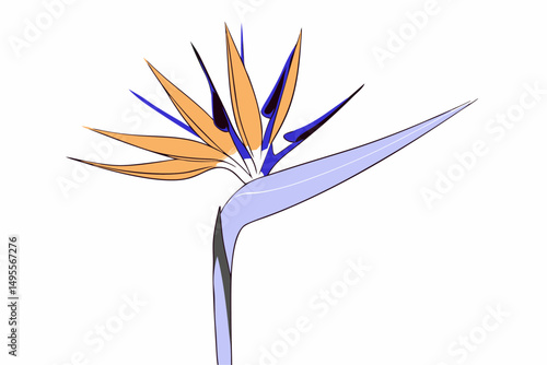 Bird of paradise tropical flower with intense orange tones perfect for floral print designs summer decorations and exotic plant themed digital illustrations