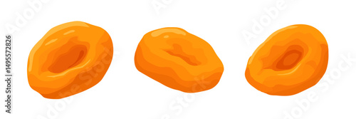 Three dried apricots vector illustrated in a colorful detailed style on white background, ideal for healthy food and snack visuals